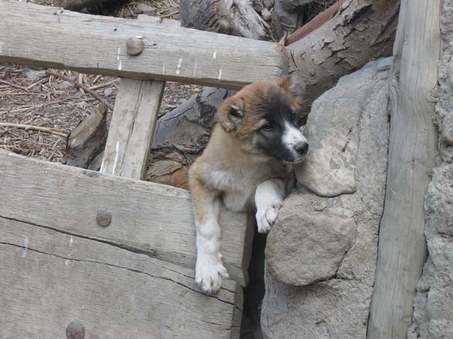 Click to view the original image