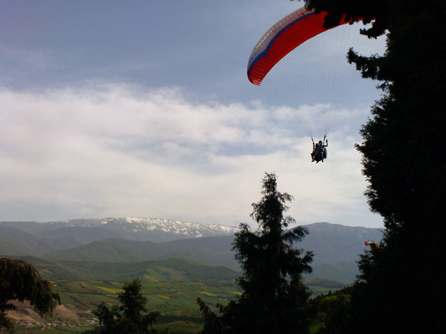 Click to view the original image