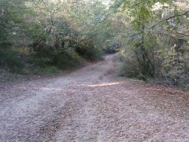 Click to view the original image