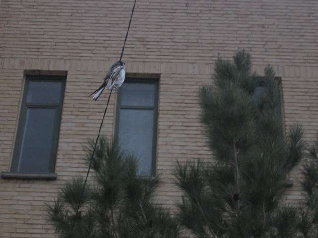 Click to view the original image