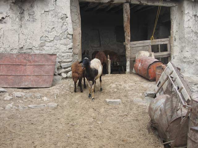 Click to view the original image