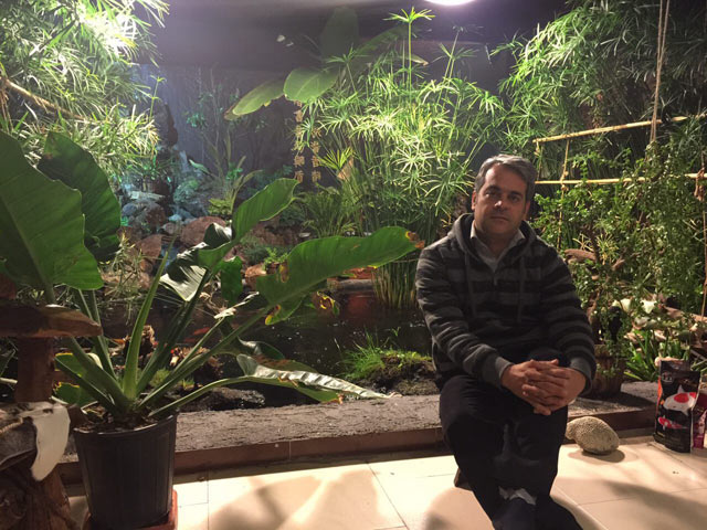 Click to view the original image