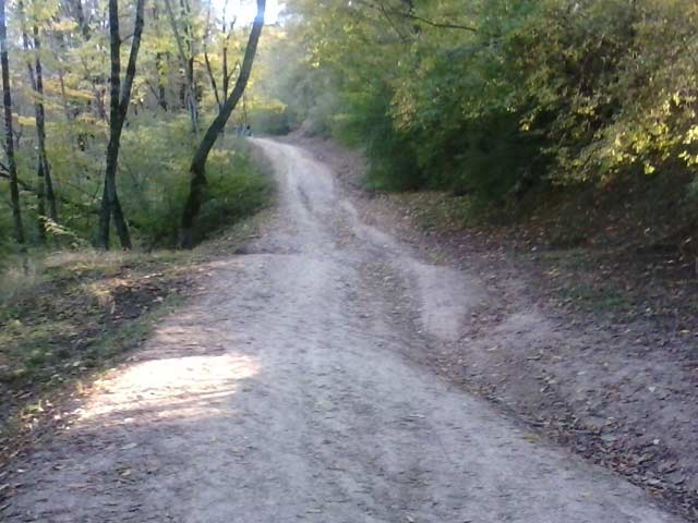 Click to view the original image