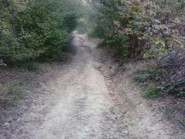 Click to view the original image