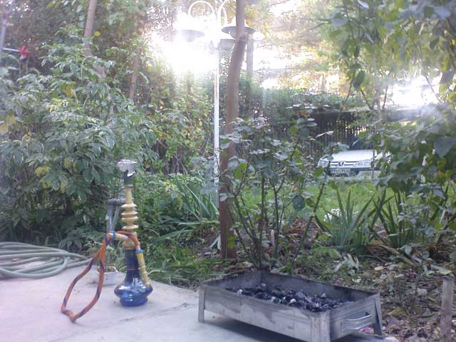 Click to view the original image