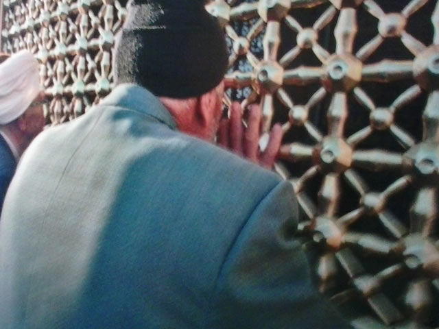 Click to view the original image