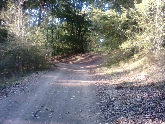 Click to view the original image